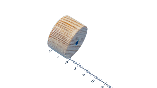 Holz-Rundstopfen 20 mm Kiefer
